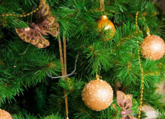 Alberi di natale 55 0 Alberi di natale_ok